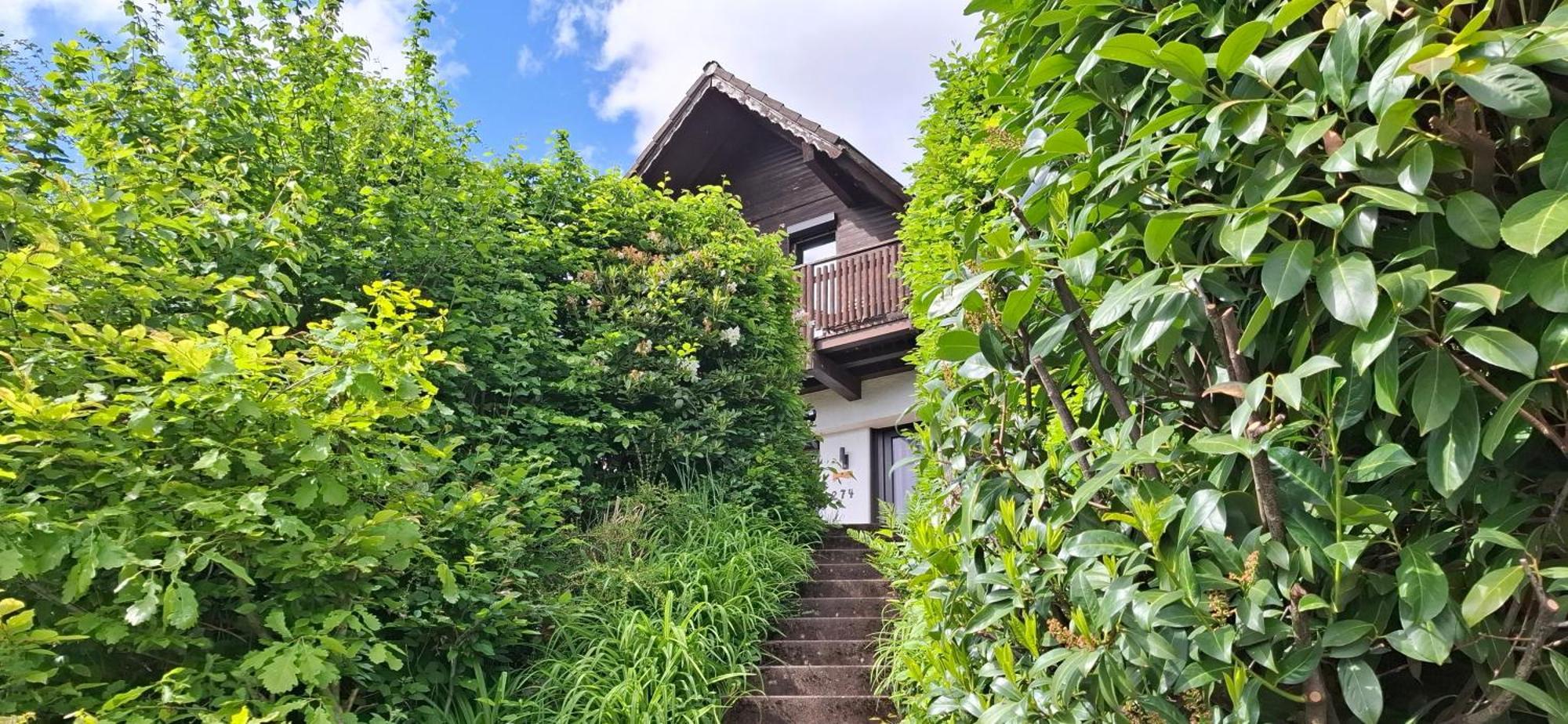Ferienhaus Bergblick mit gratis WLAN Reichelsheim Exterior foto